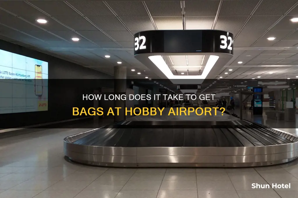 how long to get bags at airport hobby