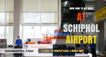 Schiphol Airport Baggage Claim: Average Wait Times and Tips