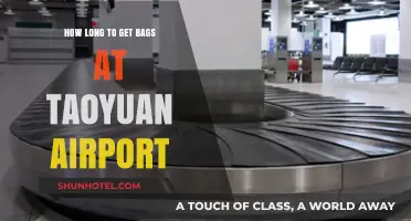 Taoyuan Airport Baggage Claim: How Long to Retrieve Your Luggage?