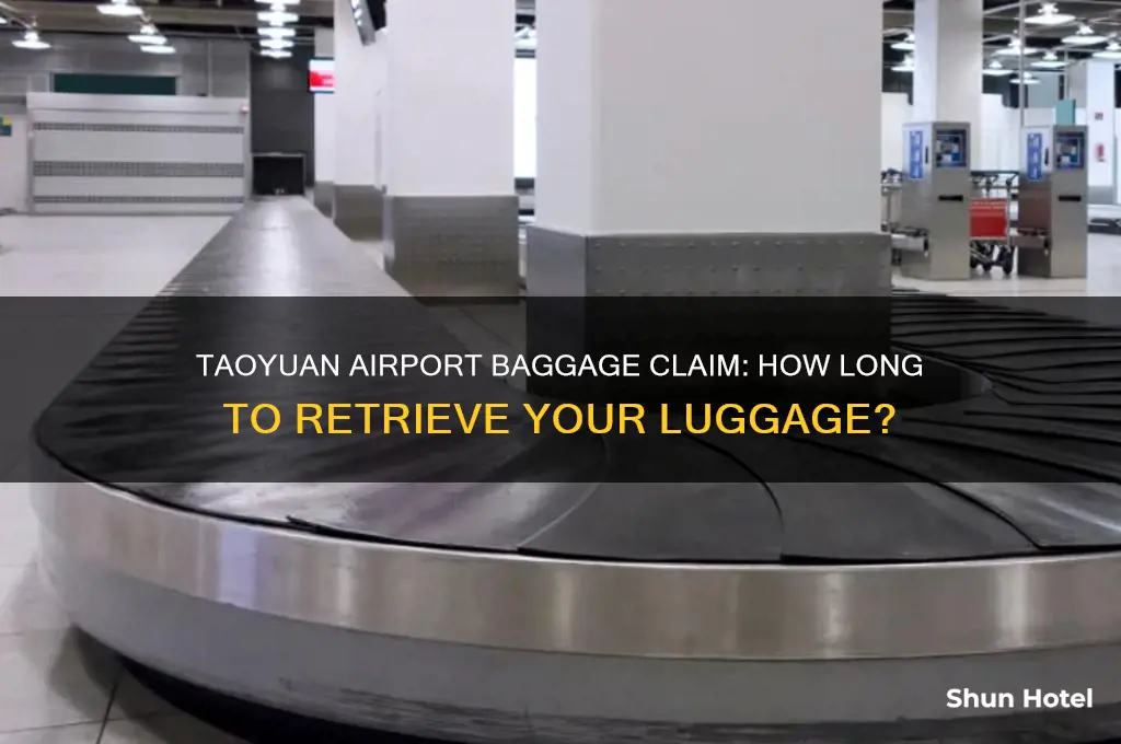 how long to get bags at taoyuan airport