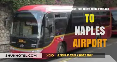 Positano to Naples Airport: Travel Time and Best Transport Options