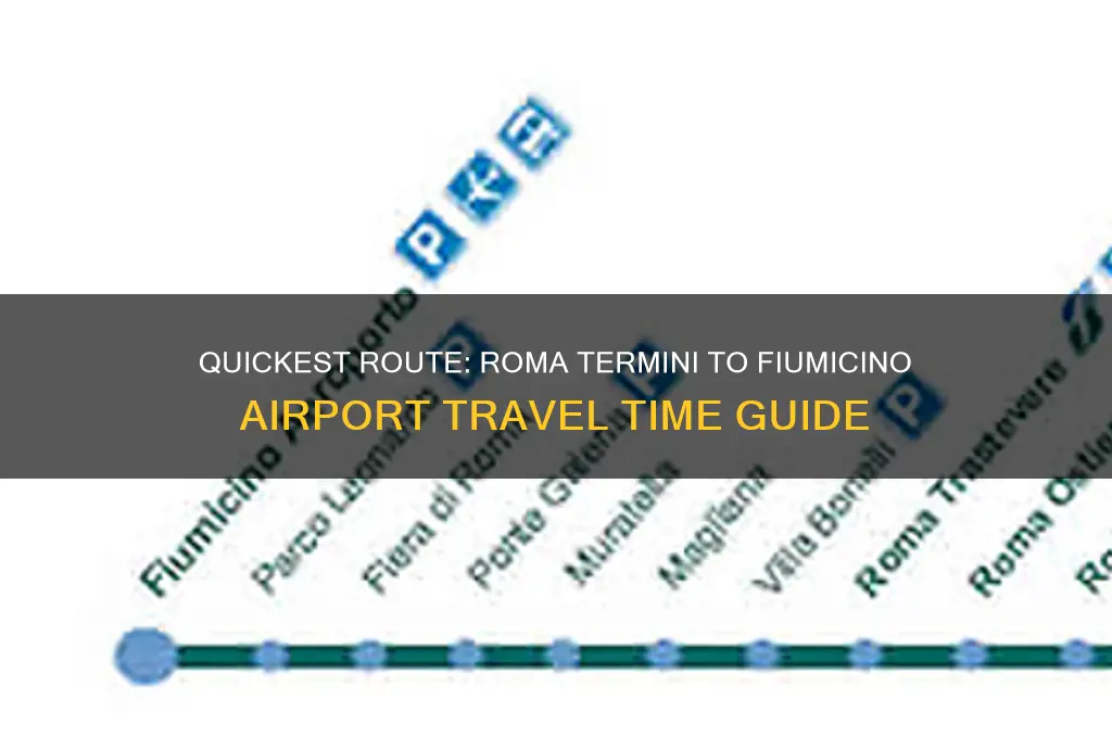 how long to get from roma termini to fiumicino airport