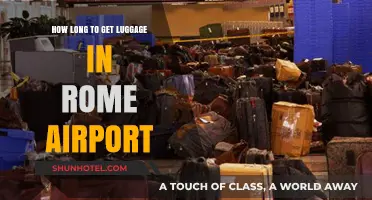 Rome Airport Luggage Wait Time: What to Expect for Baggage Claim