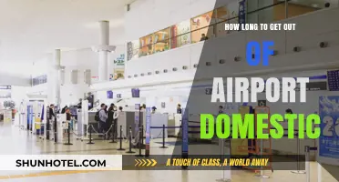 Navigating Domestic Airport Exit Times: Tips for a Swift Departure