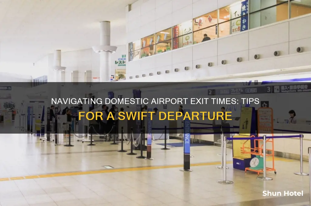how long to get out of airport domestic