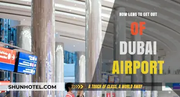 Navigating Dubai Airport: Quick Tips for a Swift Departure