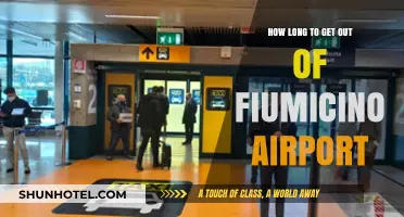 Navigating Fiumicino Airport: Quick Exit Tips for Travelers