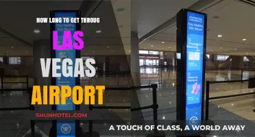 Navigating Las Vegas Airport: Average Time to Get Through Security