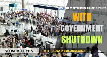 Navigating Airport Security Delays During the Government Shutdown