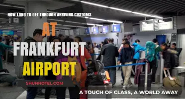 Navigating Frankfurt Airport: Customs Clearance Time and Tips