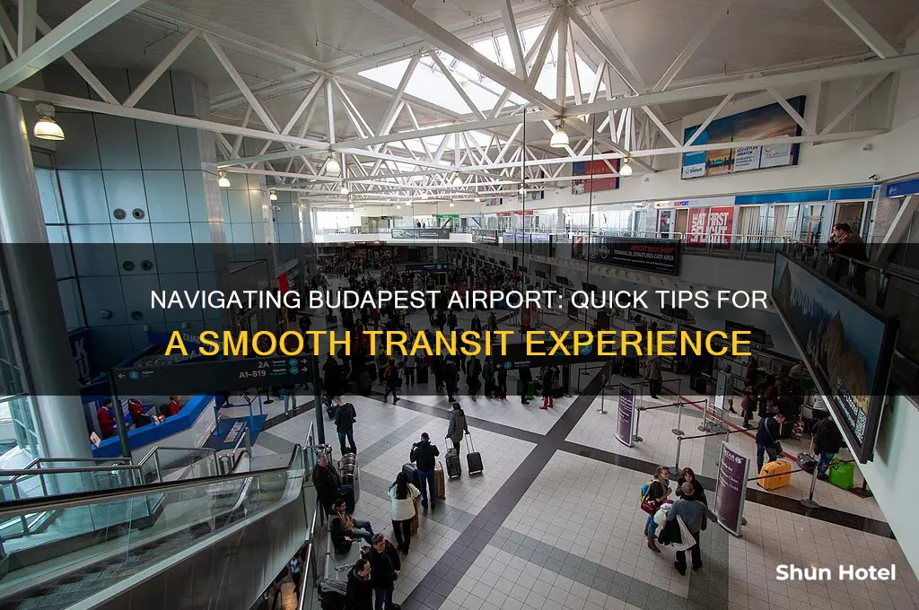 how long to get through budapest airport