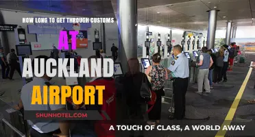 Auckland Airport Customs: Average Wait Times and Tips for Faster Clearance