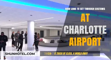 Navigating Charlotte Airport Customs: Average Wait Times and Tips