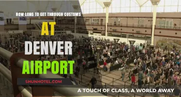 Navigating Denver Airport Customs: Average Wait Times and Tips