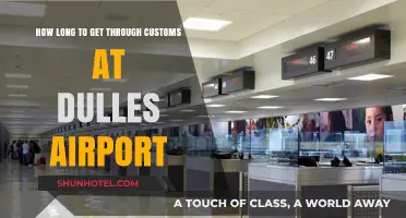 Navigating Dulles Airport Customs: Average Wait Times and Tips