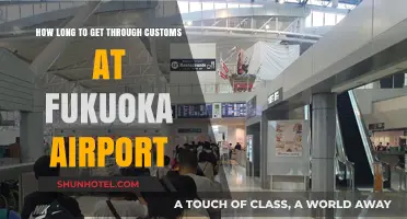 Fukuoka Airport Customs Clearance: Time Estimates and Tips for Travelers