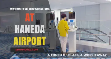 Navigating Haneda Airport Customs: Time Estimates and Tips for Travelers