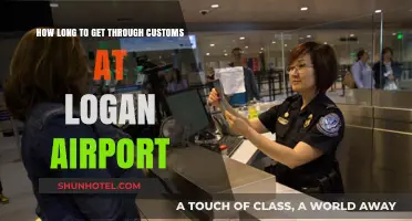 Navigating Logan Airport Customs: Average Wait Times and Tips