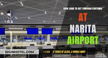 Navigating Narita Airport: Customs Clearance Time Tips and Tricks