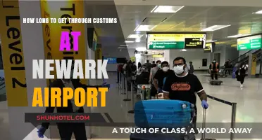 Navigating Newark Airport Customs: Average Wait Times and Tips