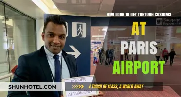 Navigating Paris Airport Customs: Average Wait Times and Tips