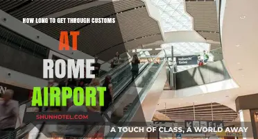 Navigating Rome Airport: Average Customs Clearance Time Explained