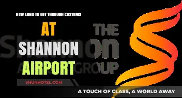 Shannon Airport Customs: Average Wait Times and Tips for Faster Clearance