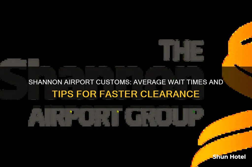 how long to get through customs at shannon airport