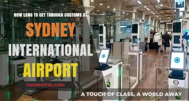 Navigating Sydney International Airport: Customs Wait Times Explained