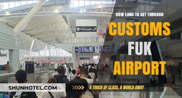 Navigating Customs at Fukuoka Airport: Time Estimates and Tips