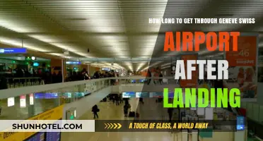 Navigating Geneva Airport: Quick Tips for Post-Landing Transit Time
