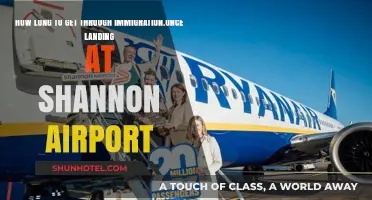 Shannon Airport Immigration Process: Average Wait Times After Landing