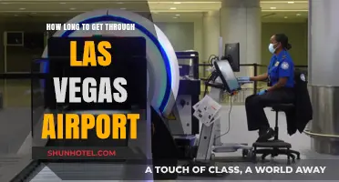 Navigating Las Vegas Airport: Average Time to Get Through Security