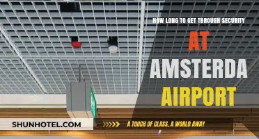 Navigating Amsterdam Airport Security: Average Wait Times and Tips