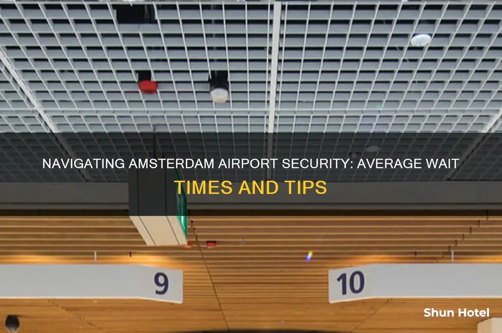 how long to get through security at amsterdam airport