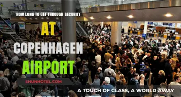Copenhagen Airport Security Wait Times: What to Expect