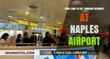 Navigating Naples Airport: Average Security Wait Times Revealed