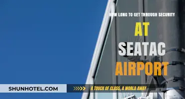 Navigating SeaTac Airport Security: Average Wait Times and Tips