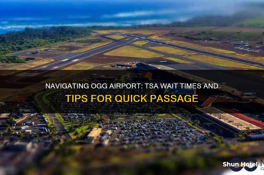 how long to get through tsa at ogg airport