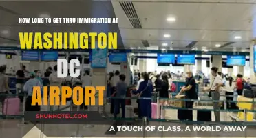 Navigating Washington DC Airport: Average Immigration Wait Times Explained