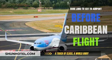Caribbean Flight Prep: Optimal Airport Arrival Time Tips