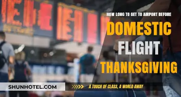 Thanksgiving Travel Tips: Ideal Airport Arrival Time for Domestic Flights