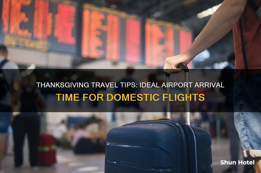 how long to get to airport before domestic flight thanksgiving