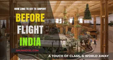 India Airport Arrival Guide: Optimal Timing Before Your Flight