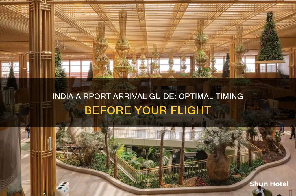 how long to get to airport before flight india