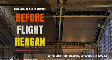 Reagan Airport Travel Tips: Optimal Arrival Time Before Your Flight