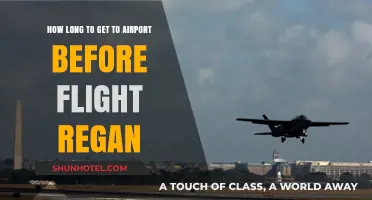 How Early Should You Arrive at Reagan Airport for Your Flight?