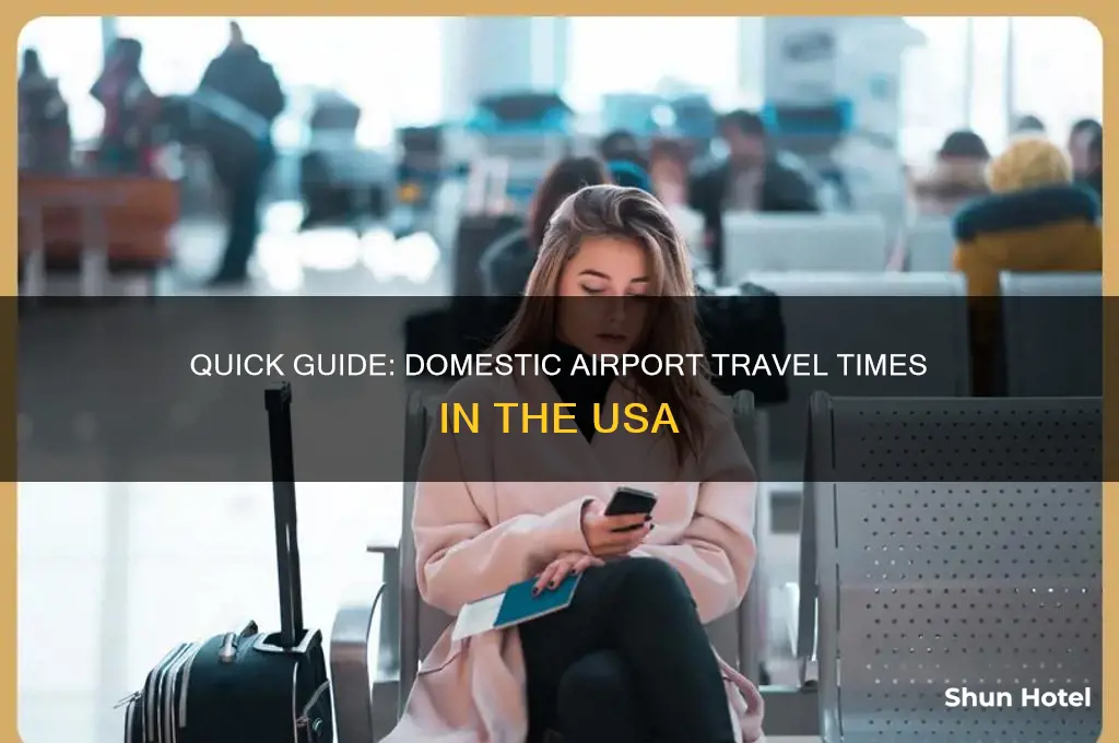 how long to get to airport domestic usa