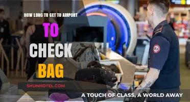 How Long Should You Arrive at the Airport to Check a Bag?