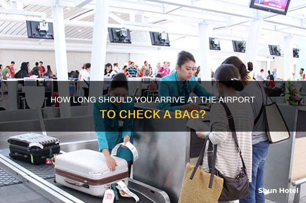 how long to get to airport to check bag